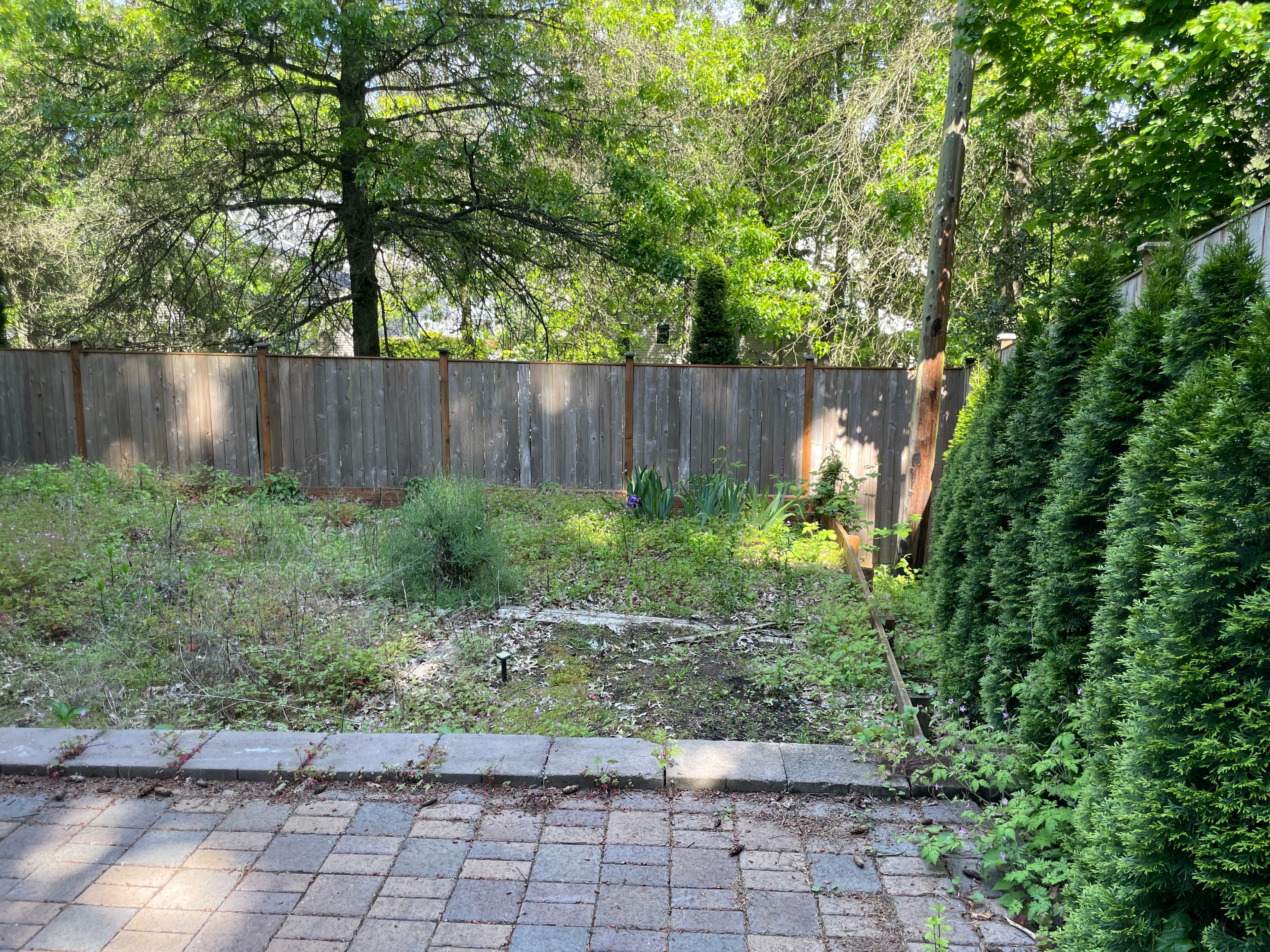 Full Home Renovation after renovation by RZO Construction